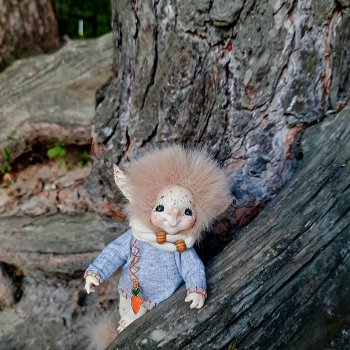 Луша. Аука, летние фото.