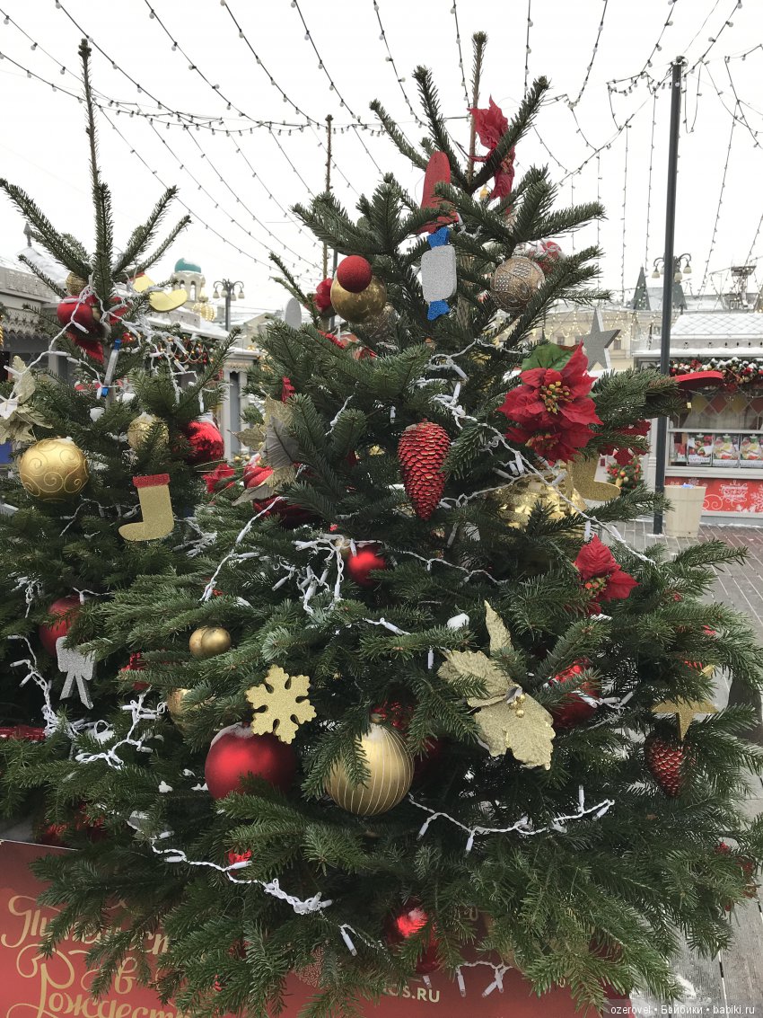 Всех, кто празднует этот праздник сегодня - с Рождеством (фото 8)