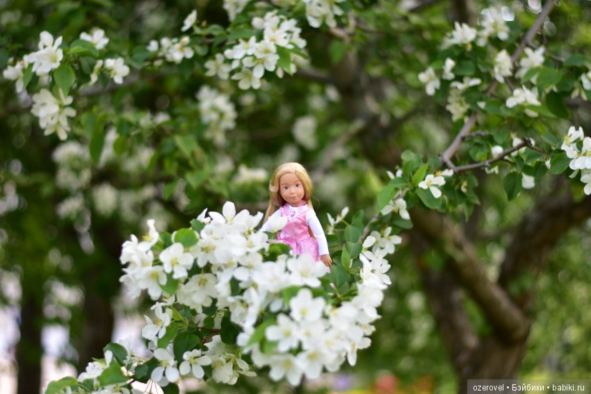 Маленькая фея Большого Цветочного Дерева (фото 9)