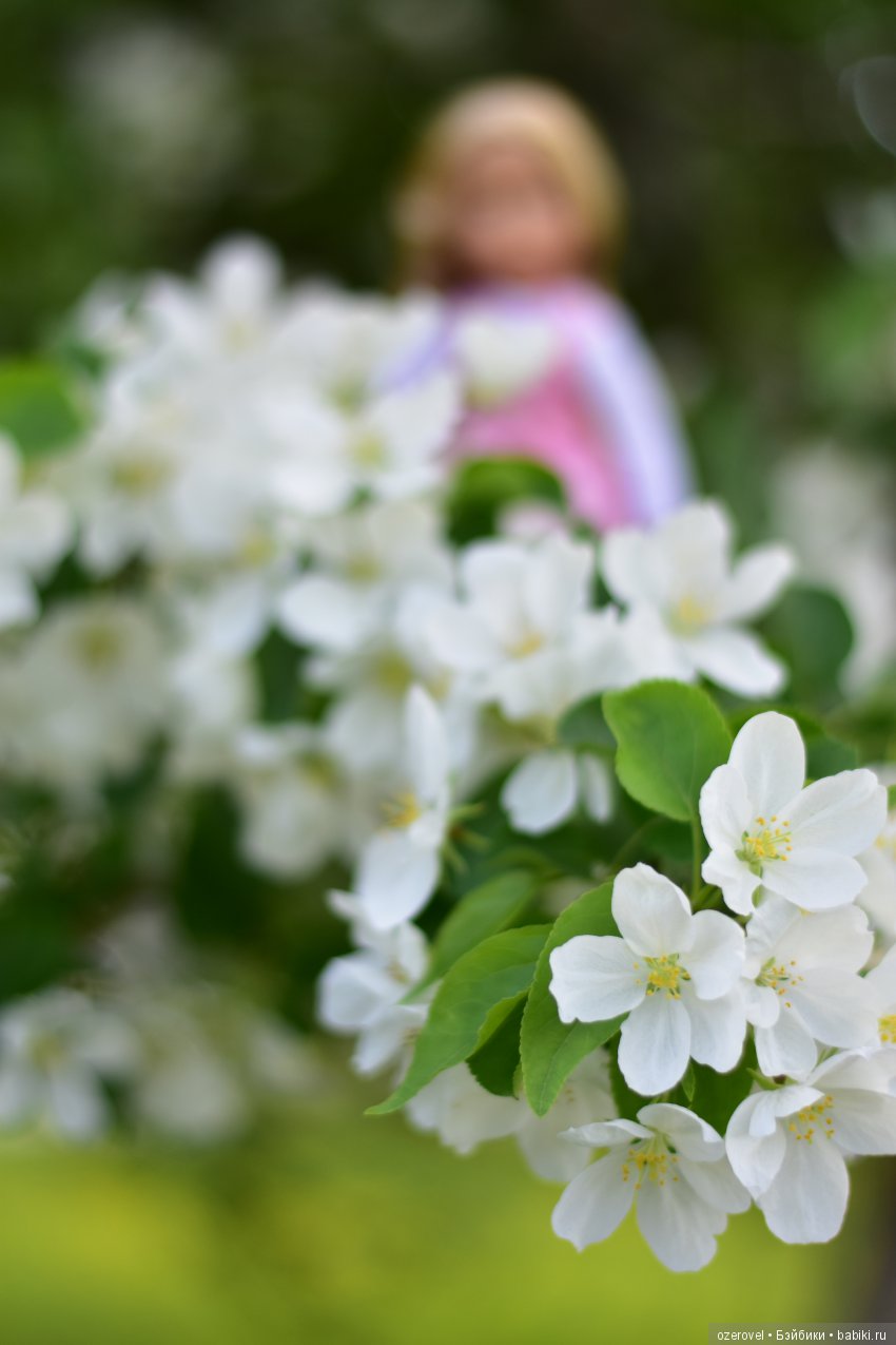 Маленькая фея Большого Цветочного Дерева