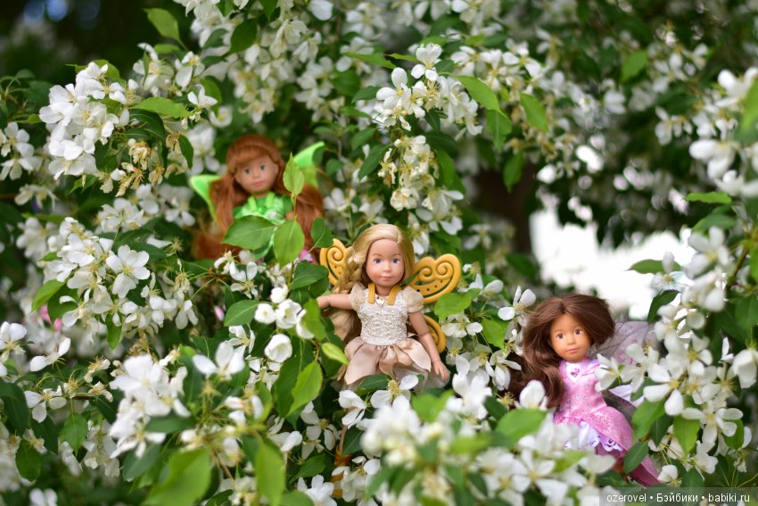 Маленькая Фея Большого Цветочного дерева. Часть 2