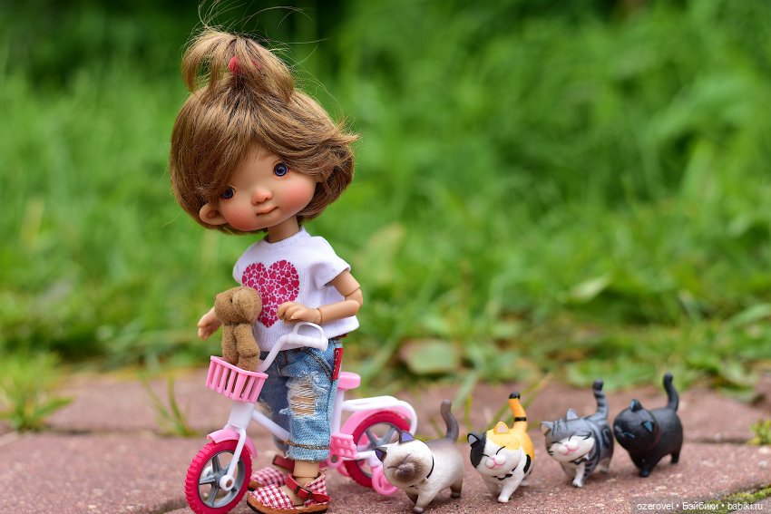 С днем кошек или Нийка предводительница котов (фото 3)