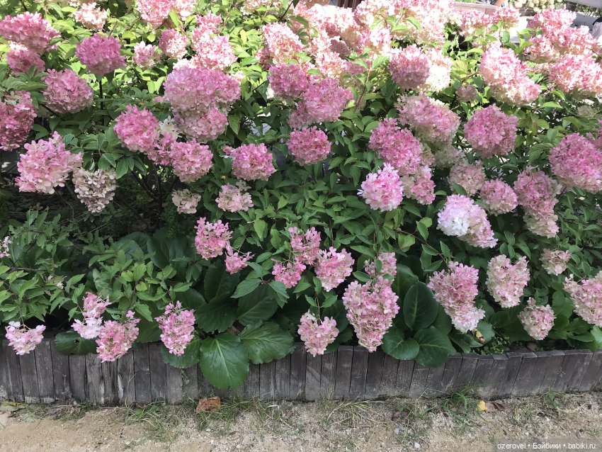 Завтра осень? Не может быть