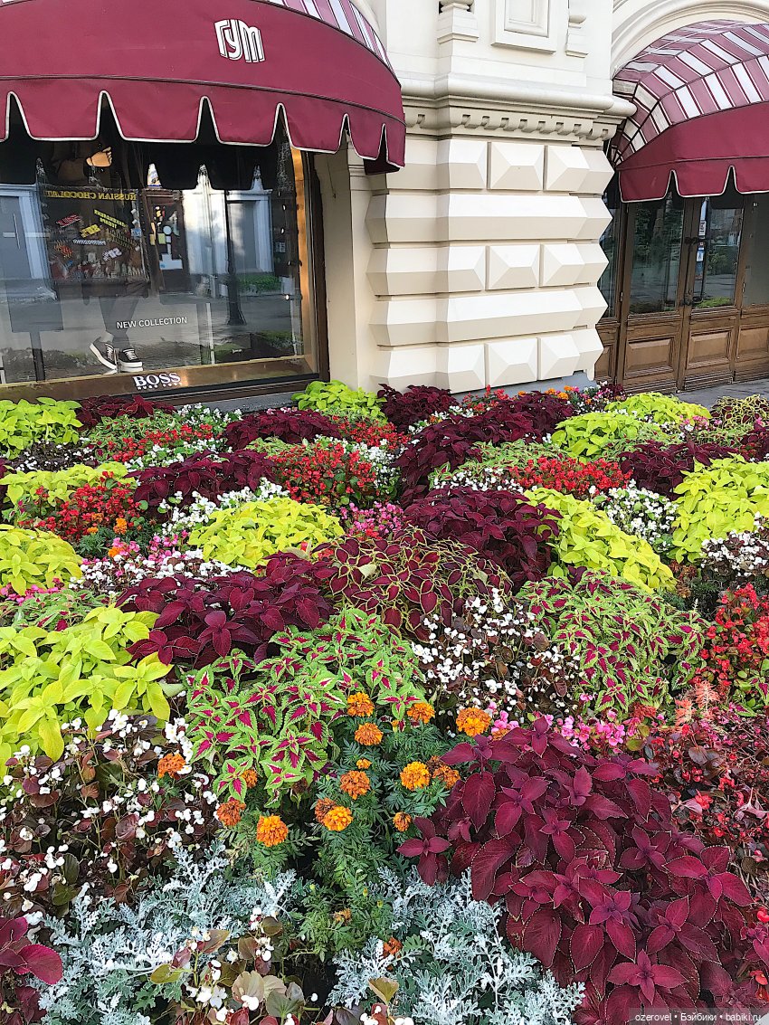 Завтра осень? Не может быть | Бэйбики Завтра осень? Не может быть (фото 6)