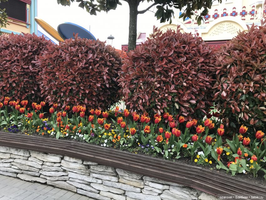 Пять дней из жизни отдыхающих | Бэйбики Пять дней из жизни отдыхающих