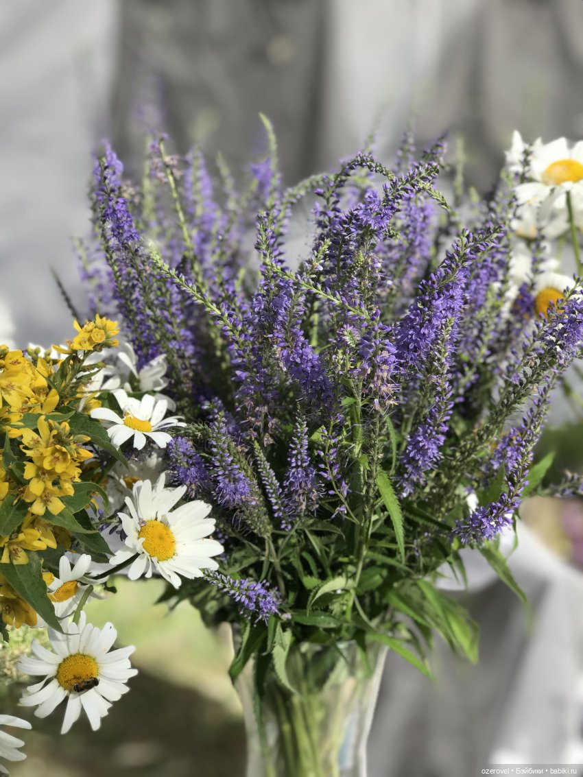 Drugoyfest — Интересное и необычное: фотоподборки