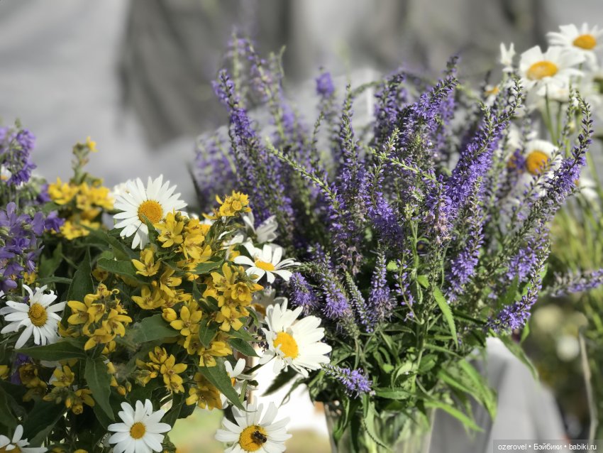 Drugoyfest — Интересное и необычное: фотоподборки (фото 2)