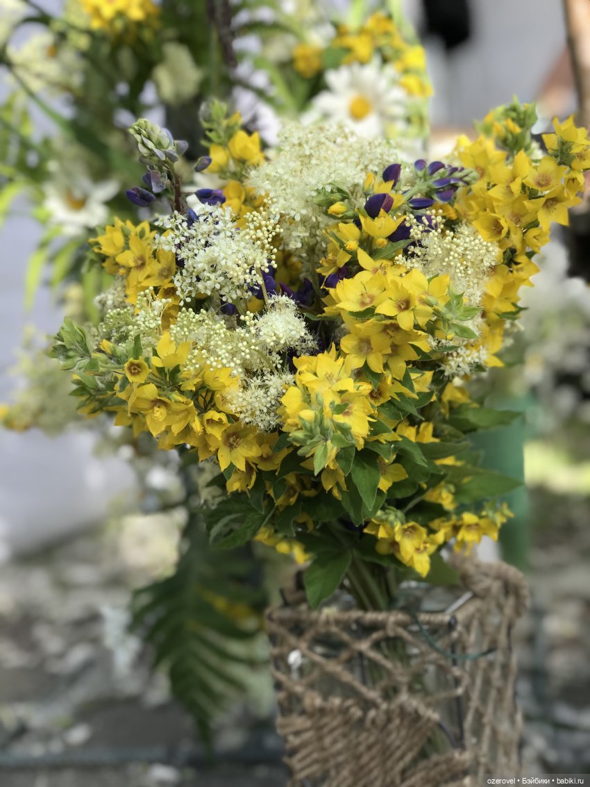 Drugoyfest — Интересное и необычное: фотоподборки (фото 3)