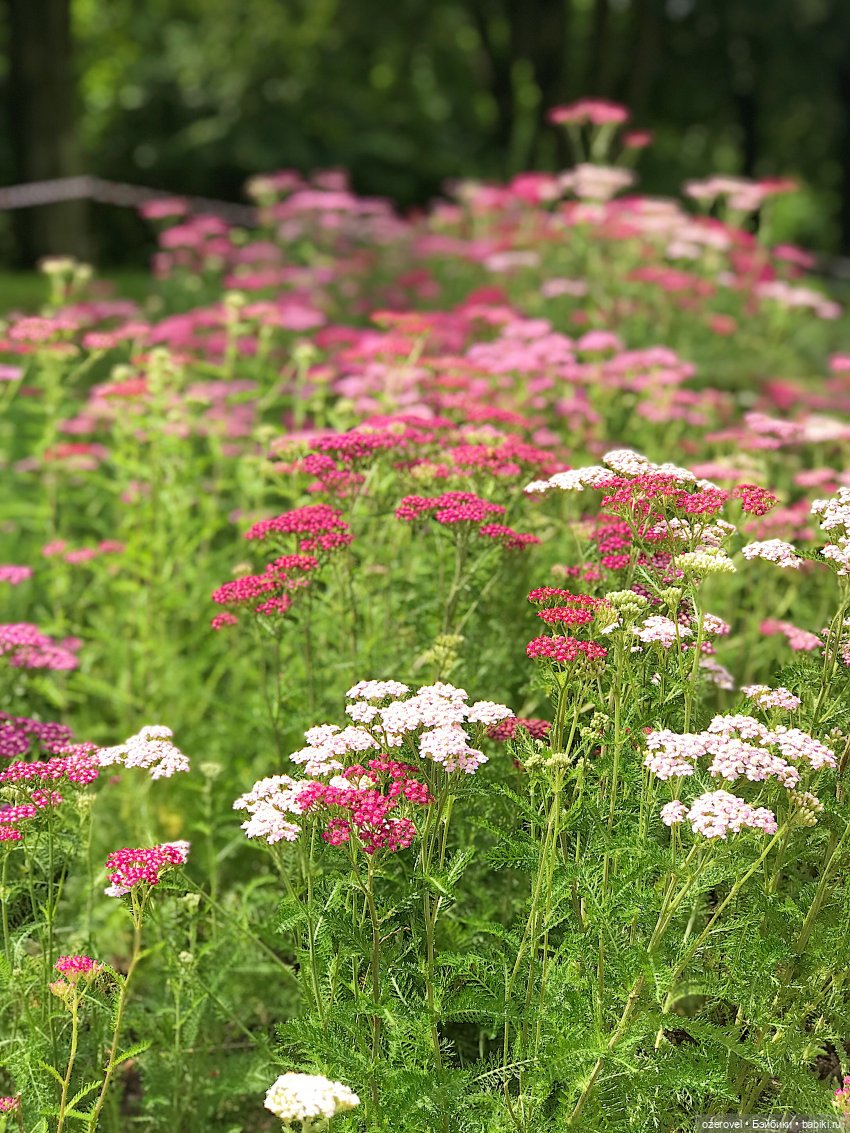 Ния обиделась или каникулы на Балтийском море