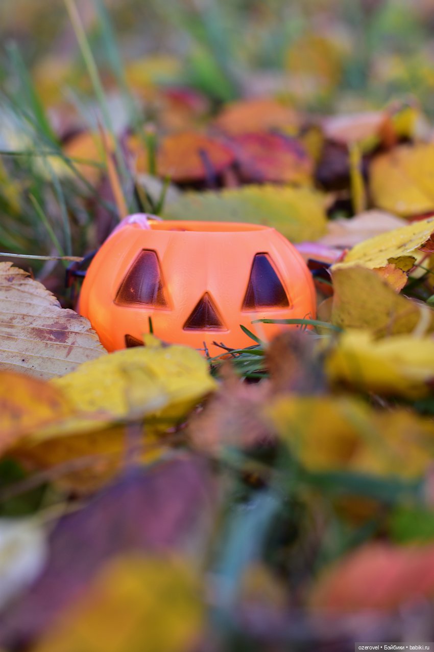 Хэллоуиним — Куклы Meadow dolls (Медовушки): BJD (БЖД) (фото 9)