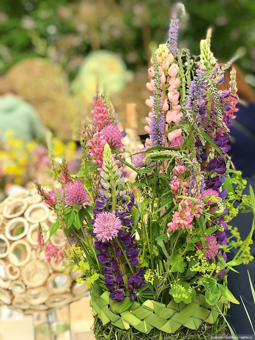 Белый июнь — Музеи кукол и фабрики игрушек: фоторепортажи