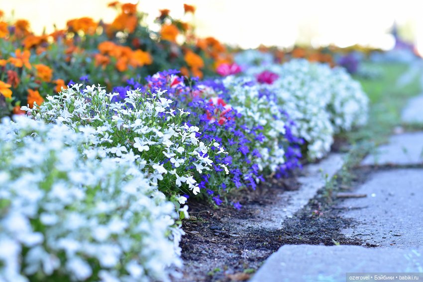 Наконец-то мать дождалась (фото 5)