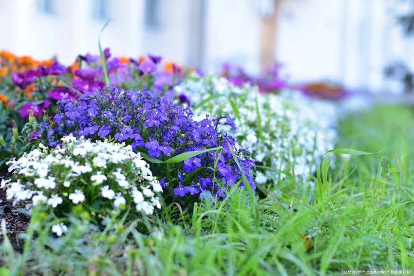 Наконец-то мать дождалась (фото 6)
