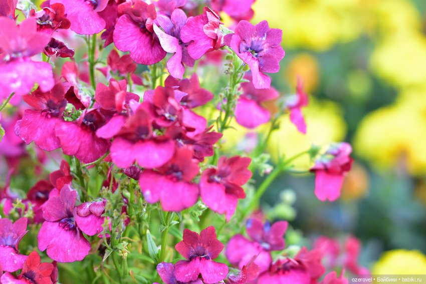 Смена образа не всегда хорошо (фото 6)