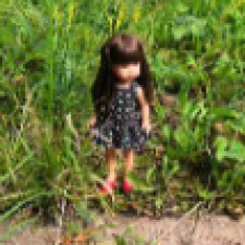 Карлотта и старый мост