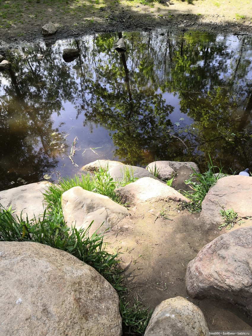 Девочка и попугай — Коллекционные игрушки и фигурки: Lego (фото 4)