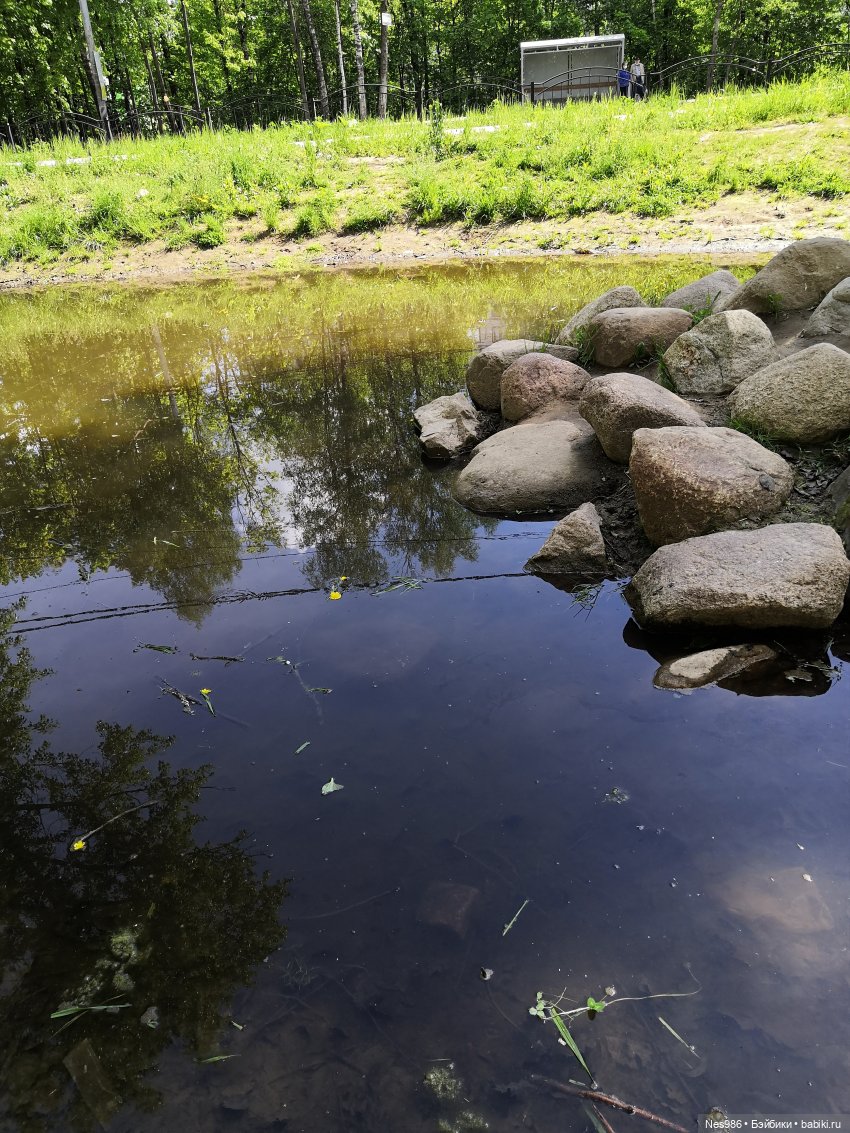 Девочка и попугай — Коллекционные игрушки и фигурки: Lego