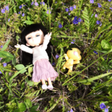 Девочка и попугай