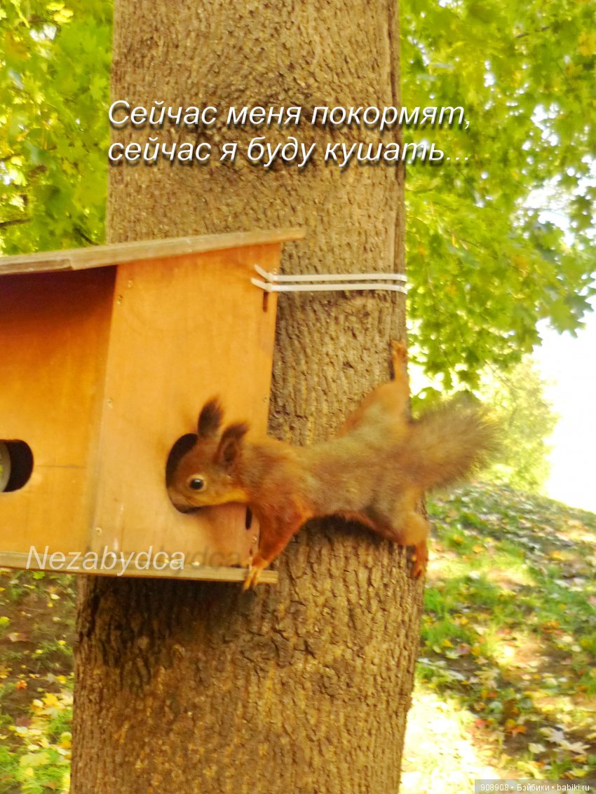 Что нужно делать этой осенью (фото 8)