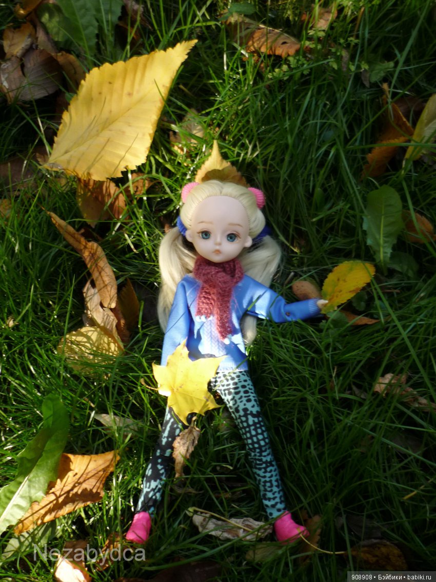 Что нужно делать этой осенью (фото 6)