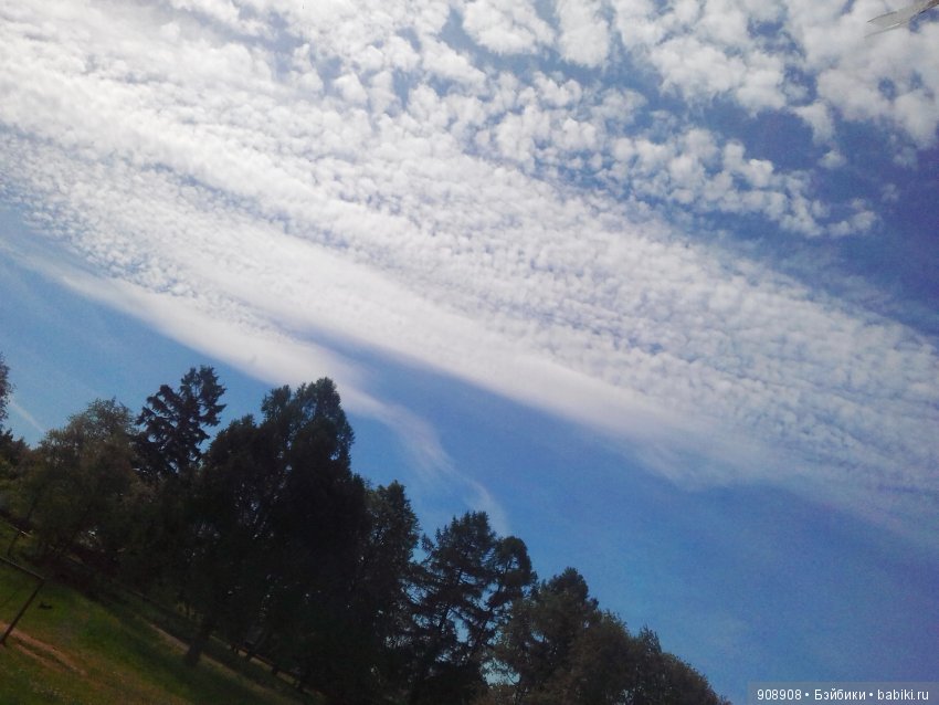 Красота природы — Другие хобби и увлечения: сад (фото 5)