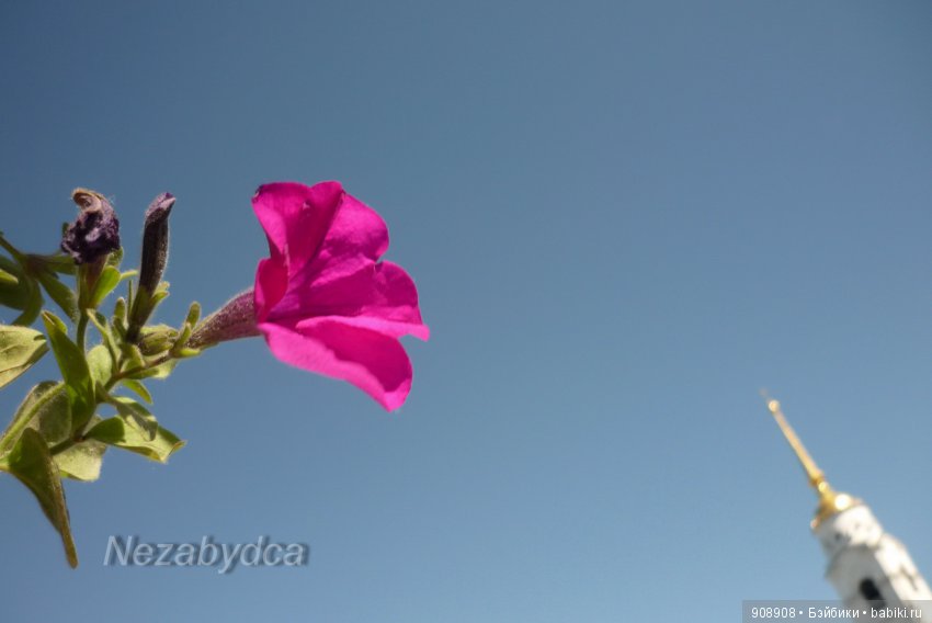 Куклы в городе Владимире. 1 часть (фото 4)