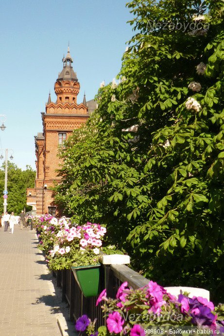 Куклы в городе Владимире. 1 часть (фото 9)