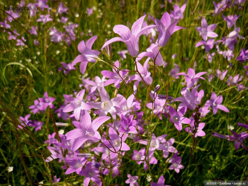 День рождения — Советские винтажные куклы (СССР): Ленигрушка (фото 6)