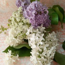 Цветочные фото