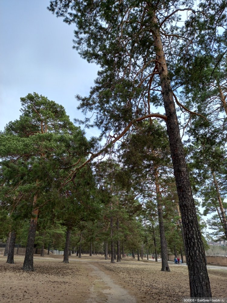 Мое маленькое путешествие