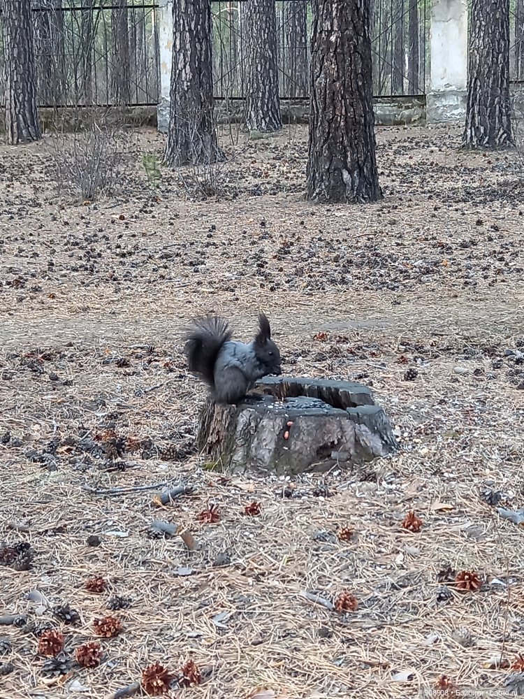 Мое маленькое путешествие