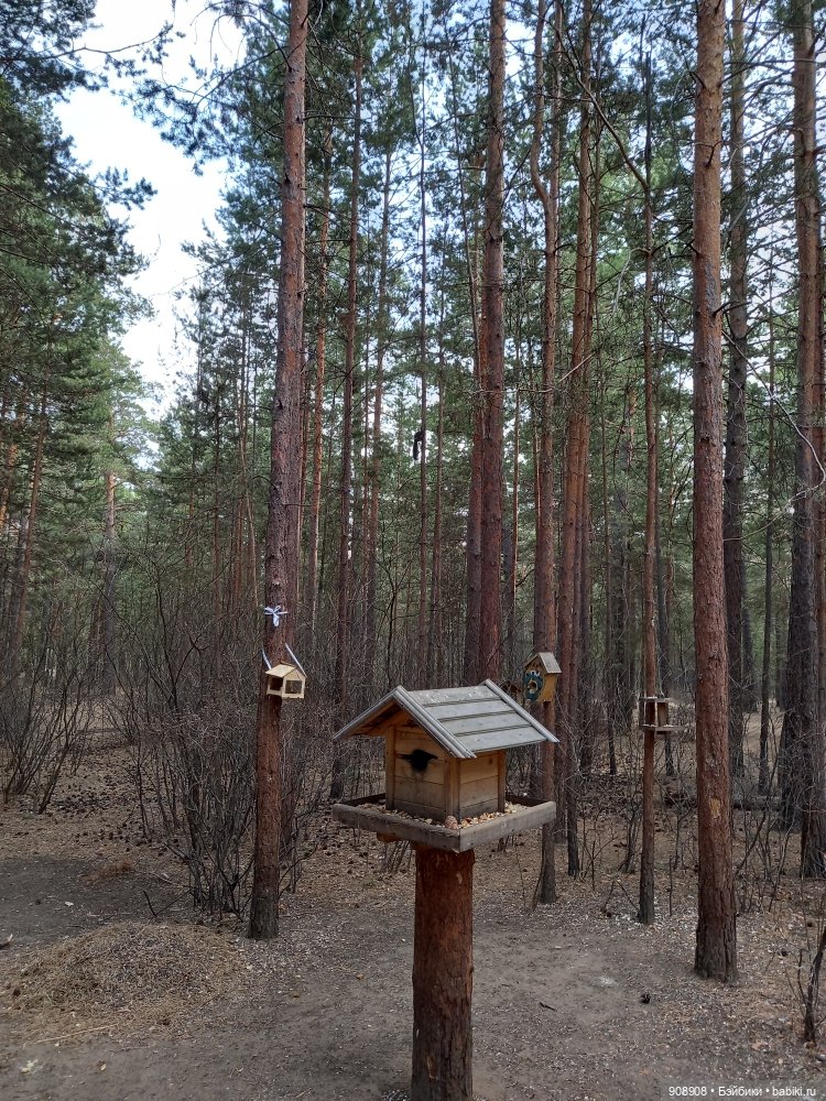 Мое маленькое путешествие