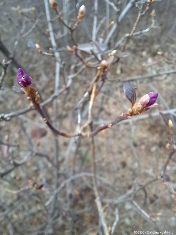 Мое маленькое путешествие