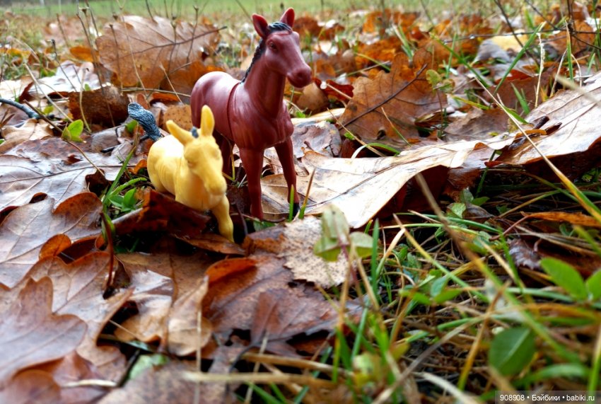 Наша осень — Куклы Baboliy (Баболи (фото 3)