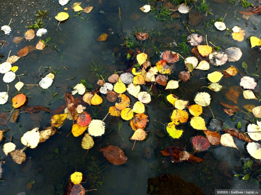 Наша осень — Куклы Baboliy (Баболи (фото 4)