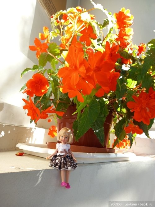 Лето и Полинка — Другие мини