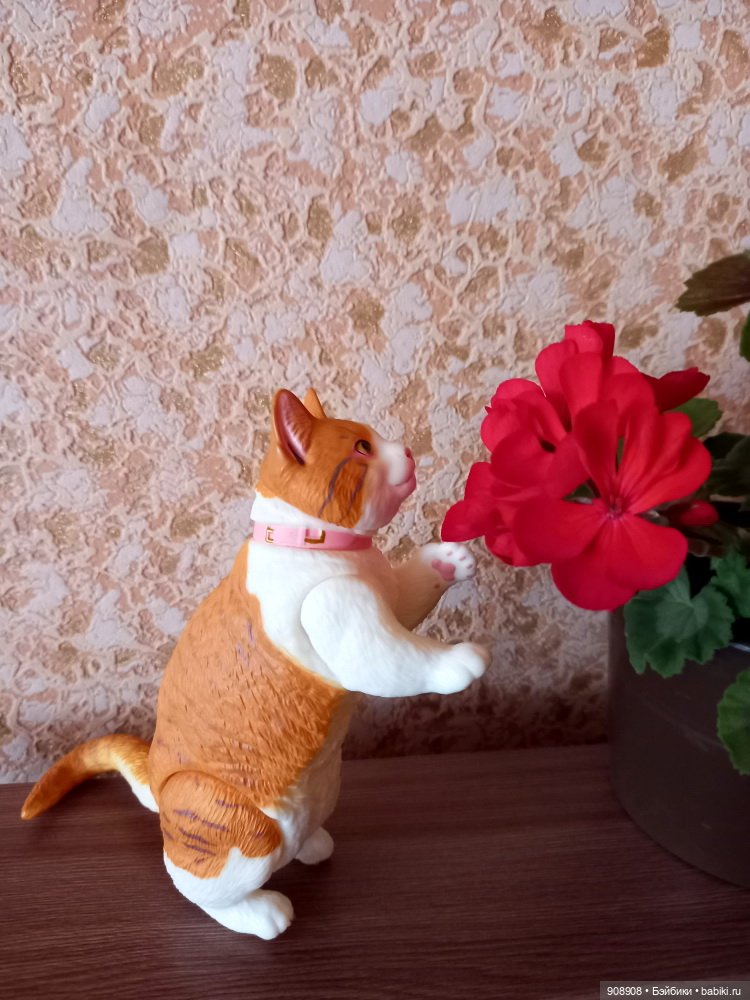 Фото-календарь прошедшего года (фото 4)