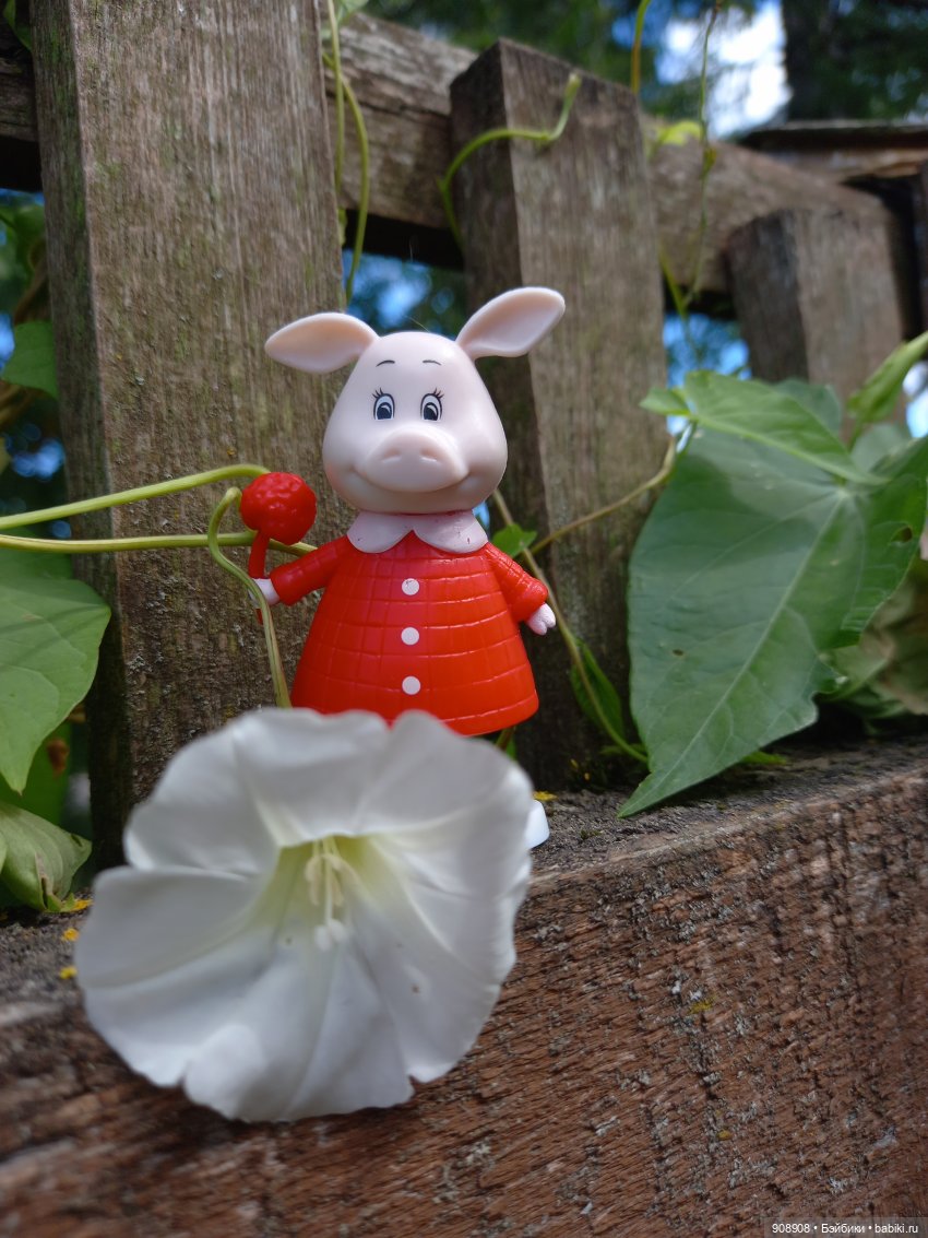 Фото-календарь прошедшего года (фото 7)