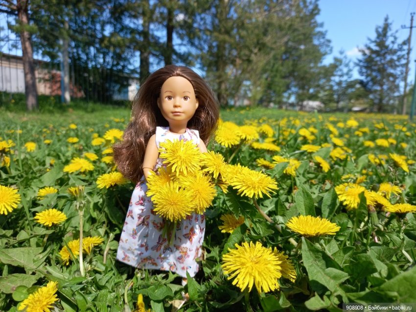 Август – золотой венец лета (фото 2)