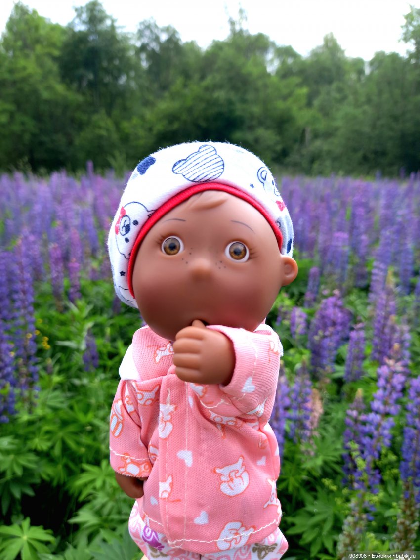 Август – золотой венец лета (фото 10)