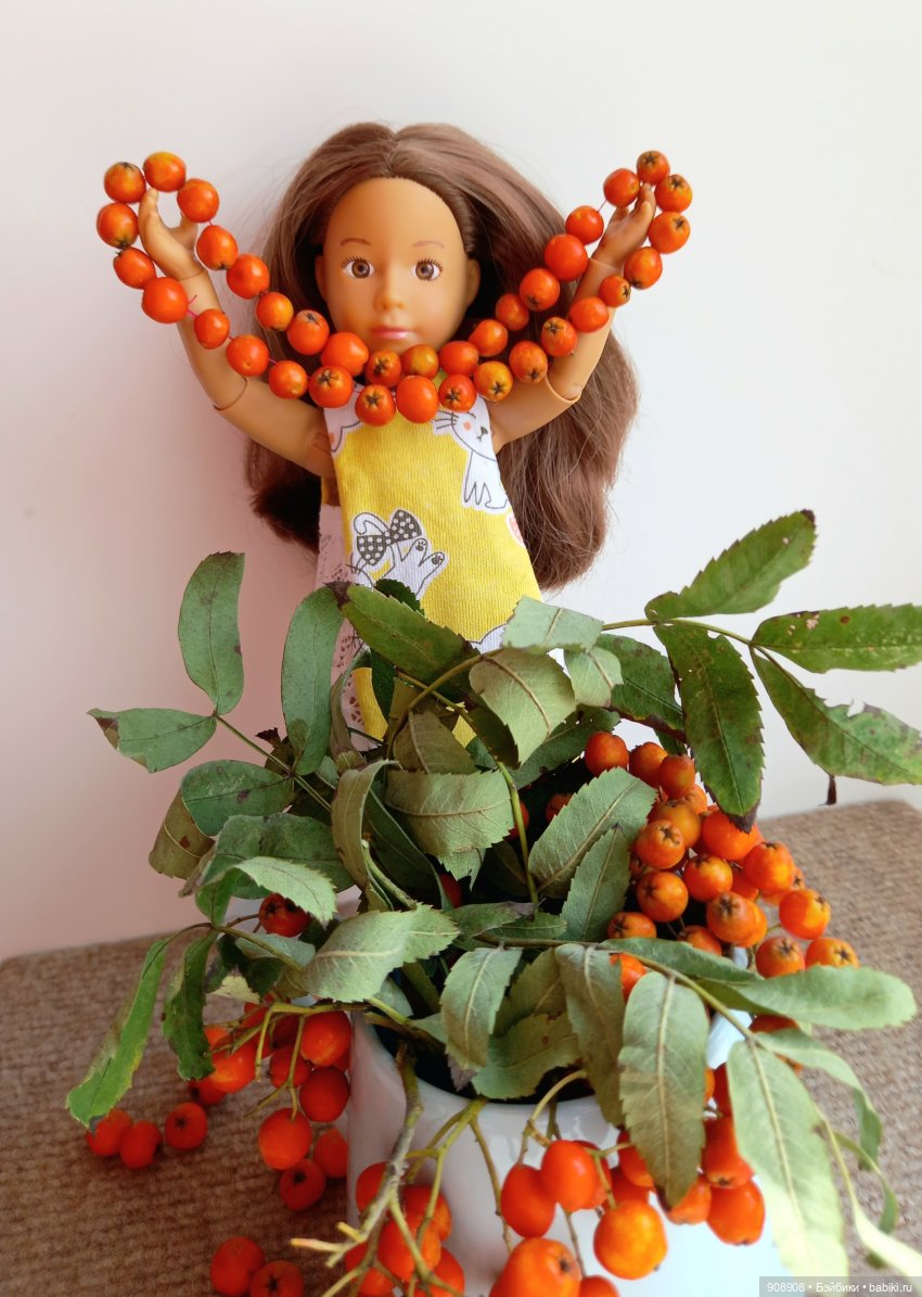 Рябинка — Игровые куклы разных производителей (Разное): редкие бренды (фото 4)