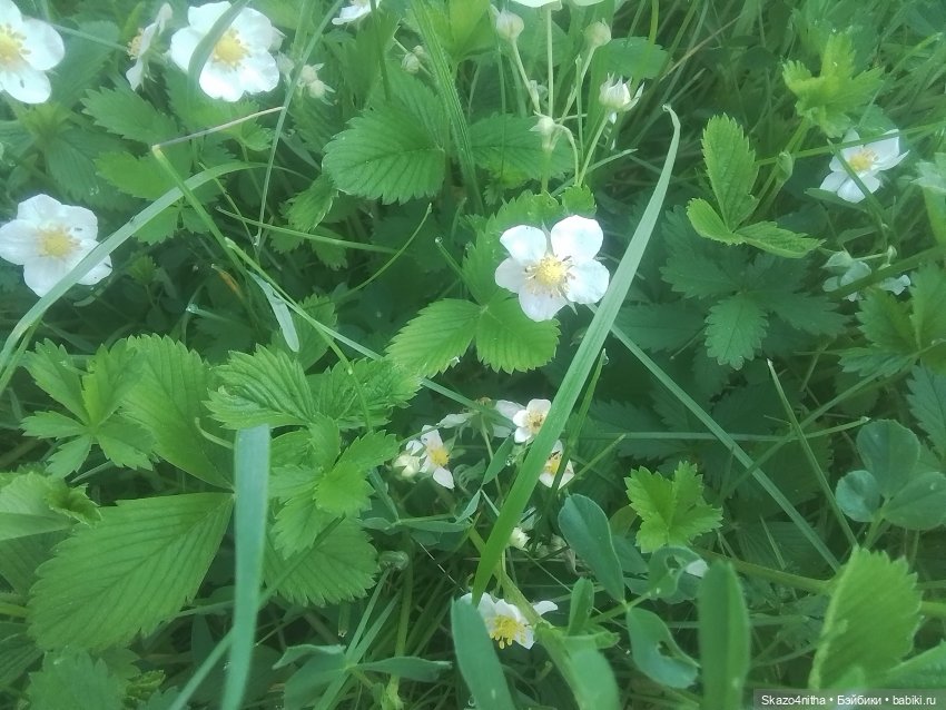 Непогода — Домашние фото авторских кукол: личные коллекции (фото 7)