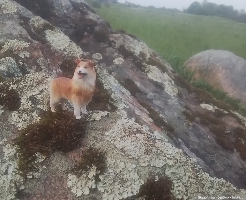 Непогода — Домашние фото авторских кукол: личные коллекции (фото 2)