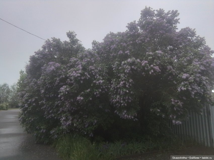 Непогода — Домашние фото авторских кукол: личные коллекции (фото 9)