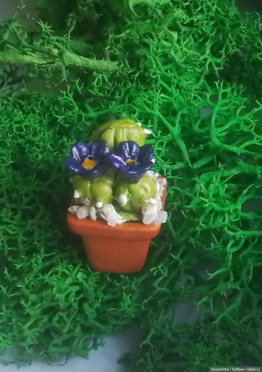 Моя коллекция миниатюрных цветов