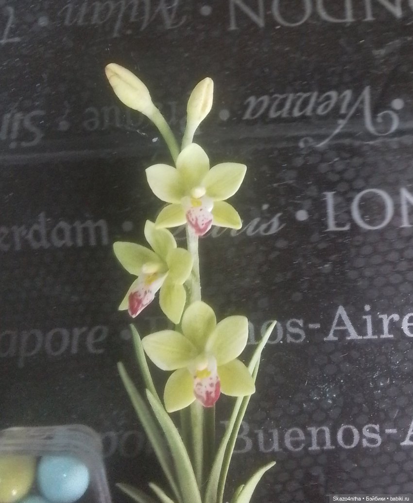 Моя коллекция миниатюрных цветов (фото 6)