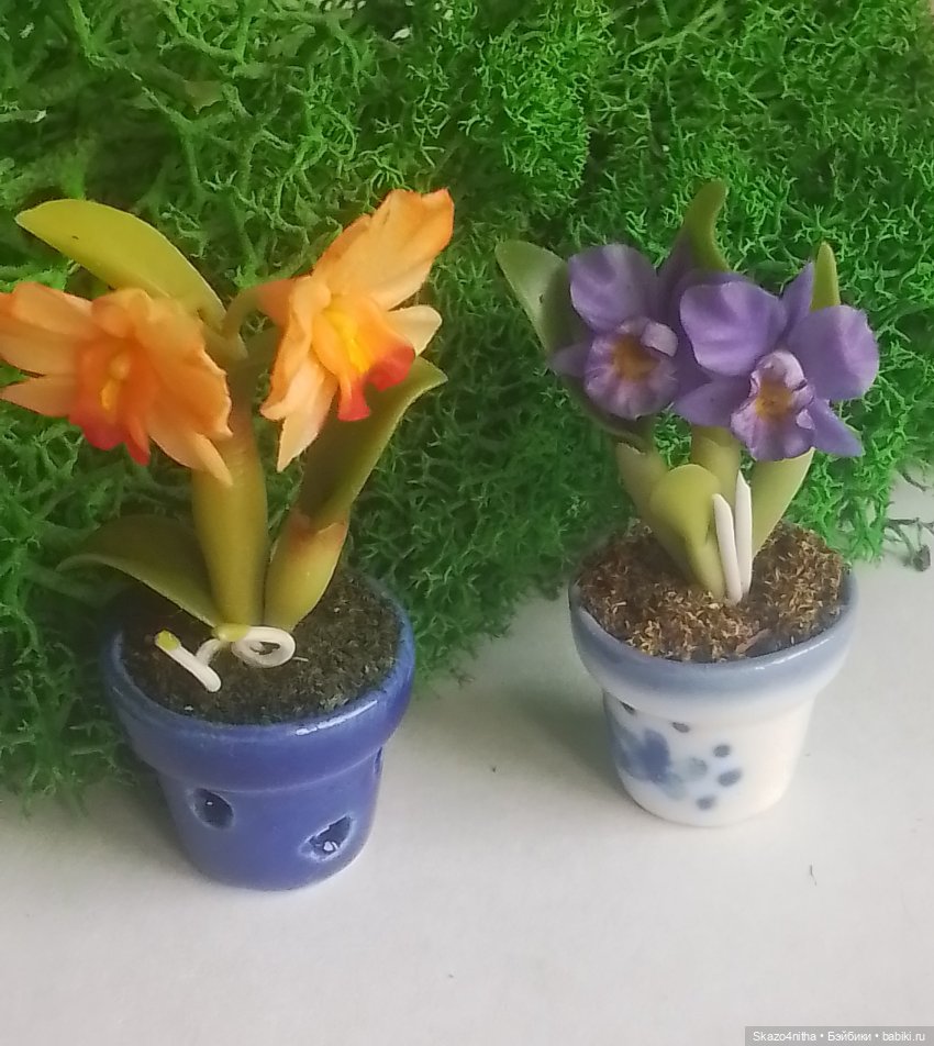 Моя коллекция миниатюрных цветов (фото 4)