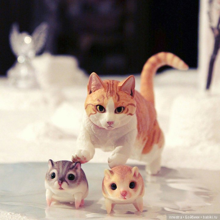 Хомки: знакомство с Мао — Фотоистории с куклами BJD (БЖД): сериалы (фото 6)