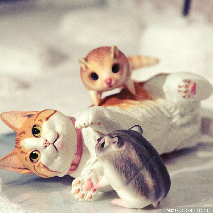 Хомки: знакомство с Мао — Фотоистории с куклами BJD (БЖД): сериалы (фото 7)