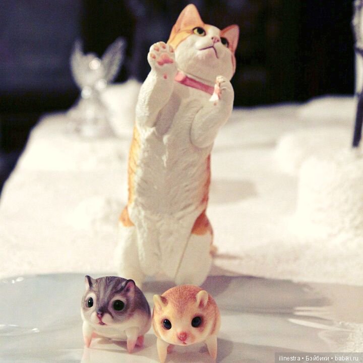 Хомки: знакомство с Мао — Фотоистории с куклами BJD (БЖД): сериалы (фото 5)